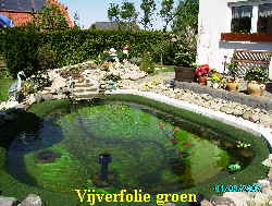 Vijverfolie PVC groen